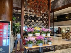 -水中仙东雅国际酒店(丹阳店)