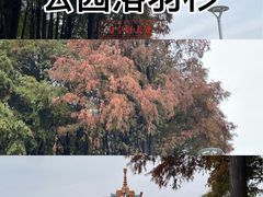 -金砂公园