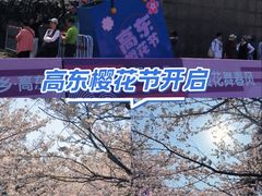 -高东镇樱花园