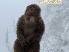 -峨眉山风景名胜区