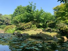 -杭州植物园