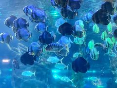 -南昌海洋公园