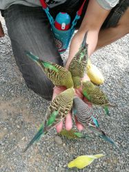 -萌宠亲子动物乐园(槐房万达店)