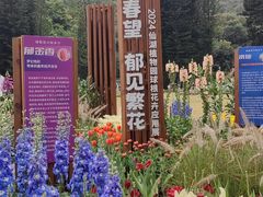 -深圳仙湖植物园