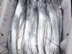 -芦潮港集贸市场