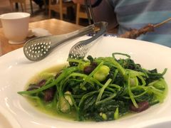 鲜蚕豆煮有机菠菜-九十九顶毡房(阜石路店)