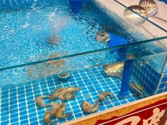 -懂食汇自助火锅