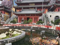 -上海东林寺(金山区)