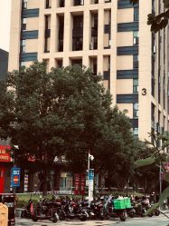 -艾美丽