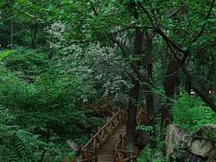 -大岭沟猕猴桃谷风景区