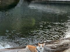 -黑龙潭风景区