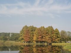 -长广溪湿地公园