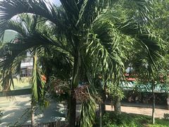 -芽庄大教堂