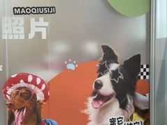 -帕帕拉兹宠物(亚洲旗舰店)