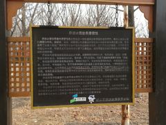 -乔波室内滑雪场
