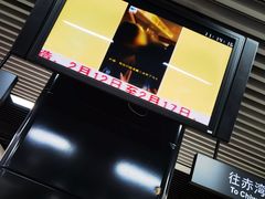 -大剧院(地铁站)