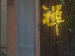 -德迹斋禅意文化茶馆·茶空间·商务洽谈•宴席(桃园店)