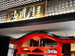 -玉川屋创意日料(北美新天地店)