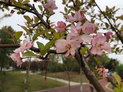 -眉山湿地公园(东坡区)