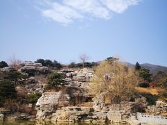 -北京西山国家森林公园