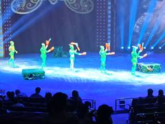 -珠海横琴长隆《卡卡虎奇遇记》