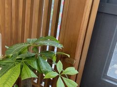 -茶港食堂(武昌店)