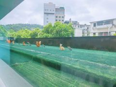 -湖锦酒楼·湖北菜(八一路店)