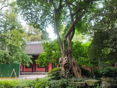 -成都武侯祠博物馆