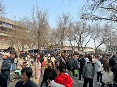 -莲湖公园