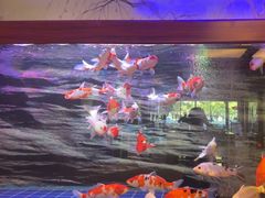-悠然湯·汗蒸汤泉会馆