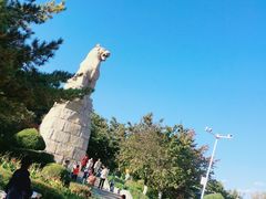 -帽儿山国家森林公园