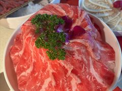 -小龙坎火锅(全球旗舰店)