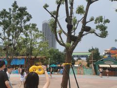 -武汉玛雅海滩水公园