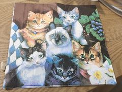 -李小姐の猫咖啡馆(五角场店)