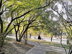 -元大都城垣遗址公园