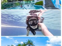 -北海金海湾红树林生态旅游区