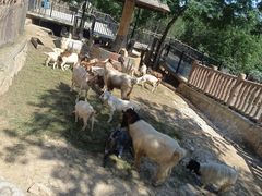 -石家庄市动物园