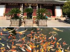 -上海东林寺(金山区)