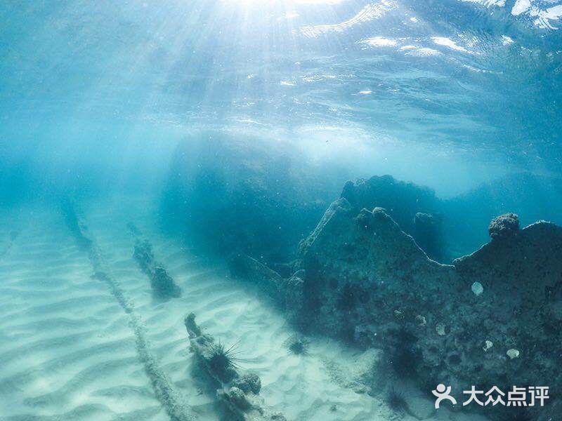 大洲岛
