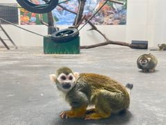 -西安秦岭野生动物园