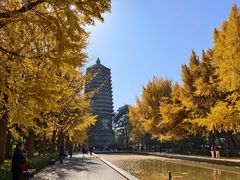 -玲珑塔公园