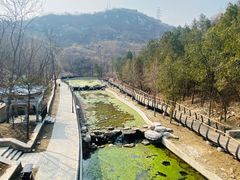 -白水寺森林公园