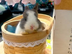 -大象厨房(重庆道店)