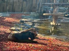 -北京野生动物园