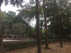 -福神岗公园