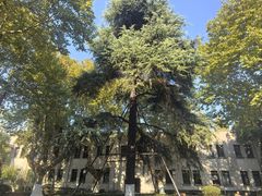 -南京中国近代史遗址博物馆(南京总统府)