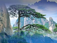 -黄山风景区