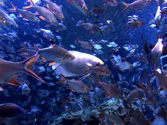 -成都浩海立方海洋公园