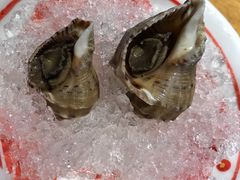 -樱町三味日本料理(城乡世纪广场店)
