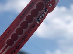-和禄德冰糖葫芦
